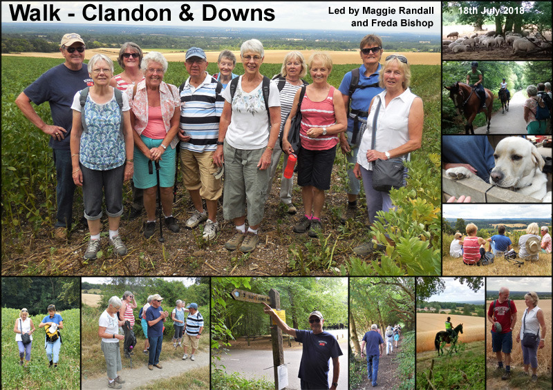 Walk - East Clandon & North Downs - 18th July 2018